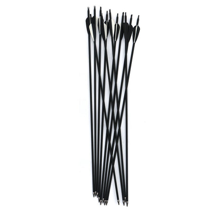 12Pcs Archery Hunting Arrows