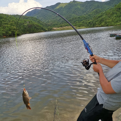 Automatic Fishing Rod