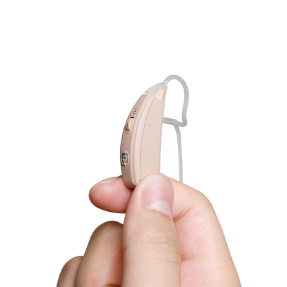 Digital Hearing Aid