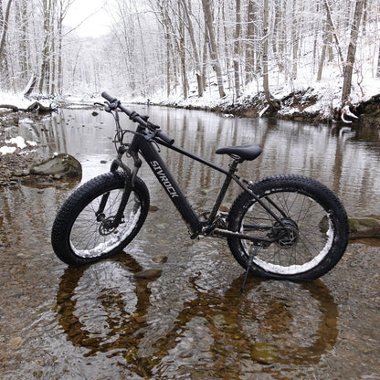 Fat Tire Electric Bike