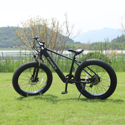 Fat Tire Electric Bike