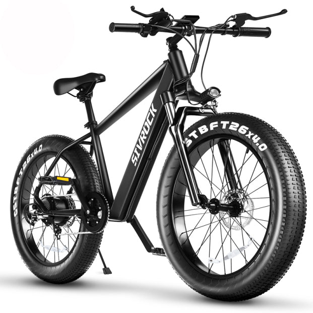 Fat Tire Electric Bike