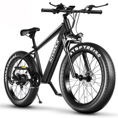 Fat Tire Electric Bike