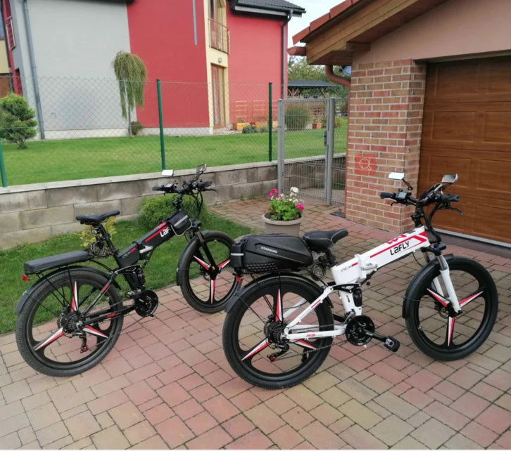 1000W Folding Electric Bicycle