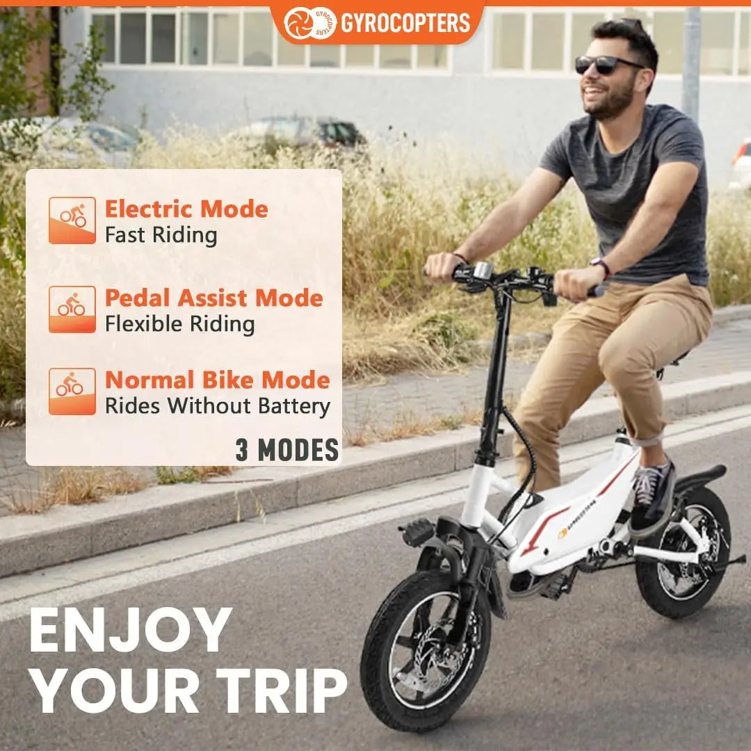 Mini Adult Folding Electric Bike