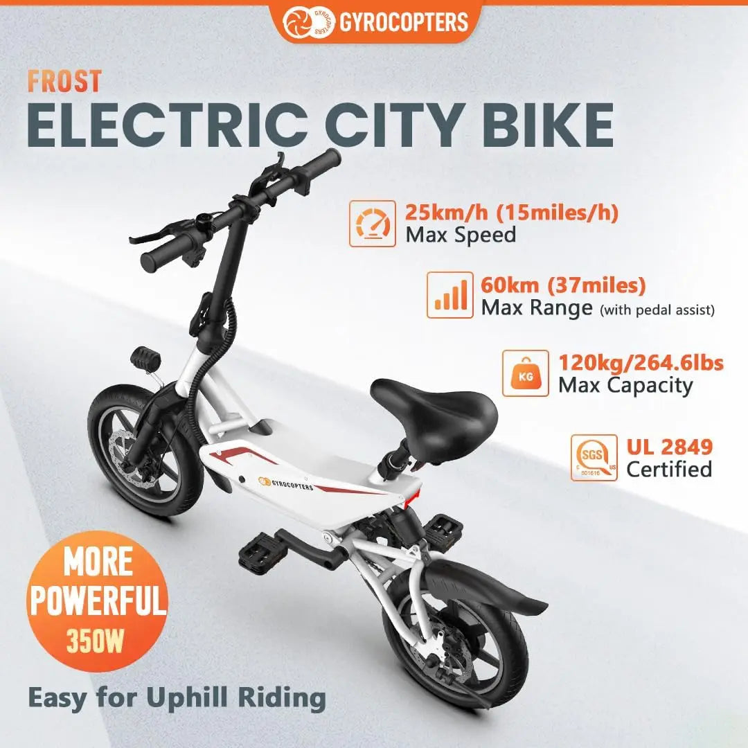 Mini Adult Folding Electric Bike