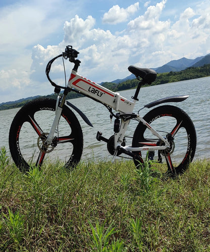 1000W Folding Electric Bicycle