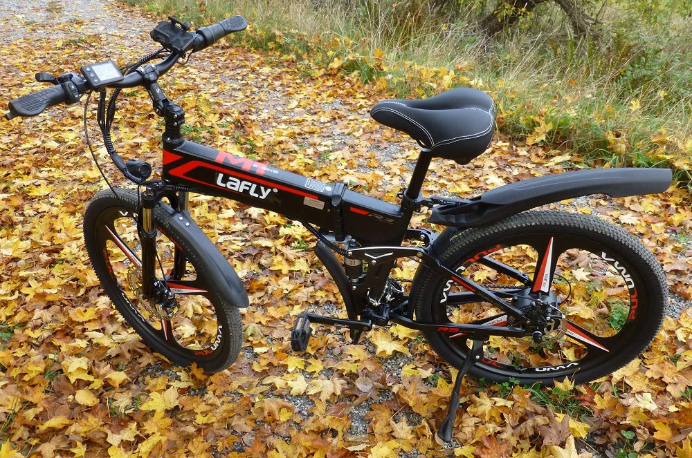 1000W Folding Electric Bicycle