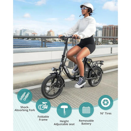 Foldable Electric Bike