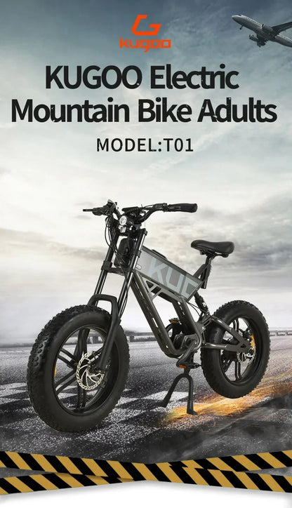 1000W Electric Bike