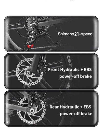 1000W Folding Electric Bicycle