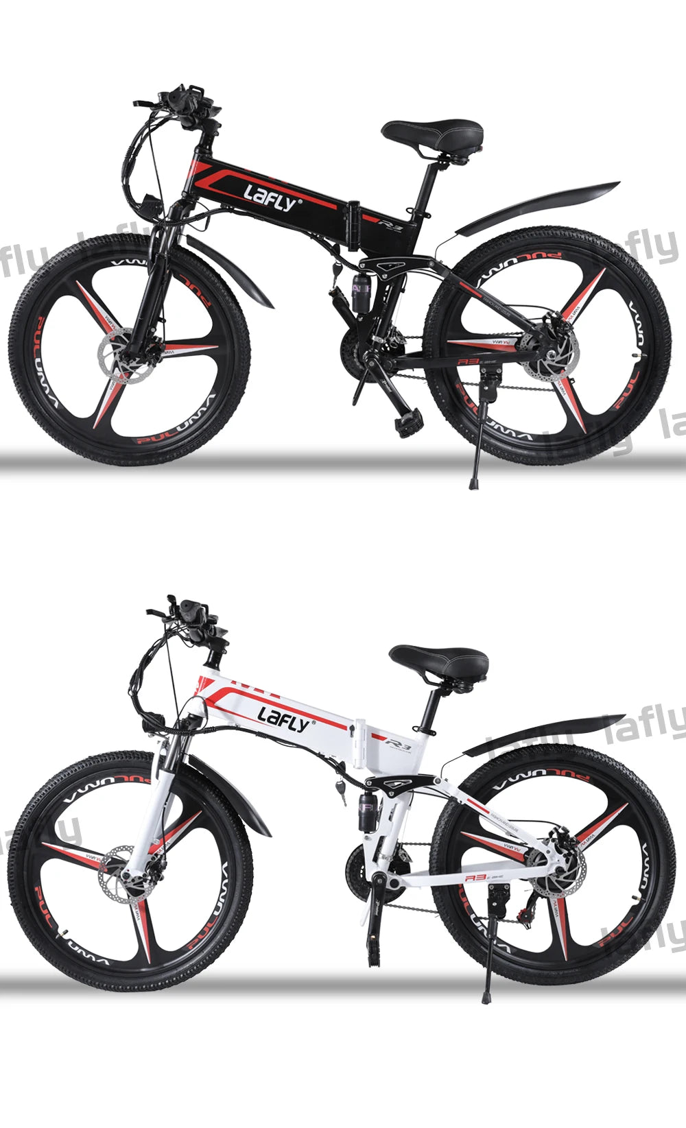 1000W Folding Electric Bicycle