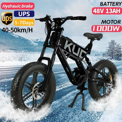 1000W Electric Bike