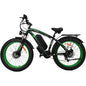 2000W Electric Bike