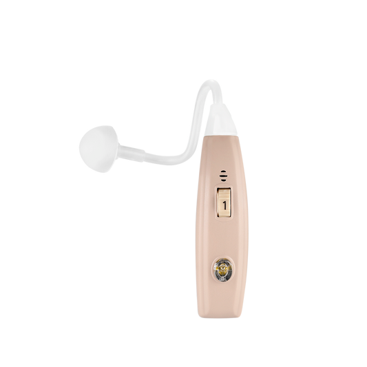 Digital Hearing Aid