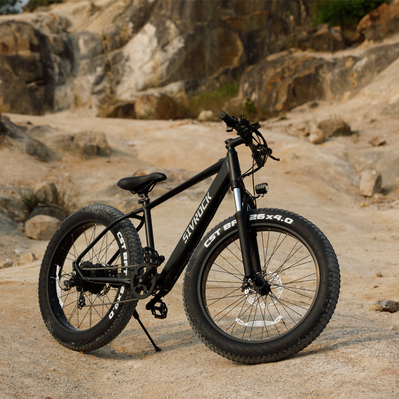 Fat Tire Electric Bike