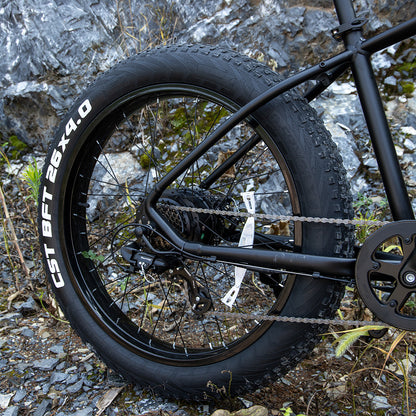 Fat Tire Electric Bike